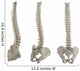 Three Spines Wall Stickers