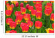 Field of Red Tulips Wall Mural
