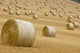 Rolls Hay Wall Decal Design 3