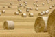 Rolls Hay Wall Decal Design 1