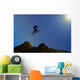 bmx Wall Mural