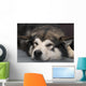 Alaskan Malamute Wall Decal