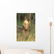 Two Eastern Gray Kangaroos Wall Mural