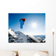 Snowboarding Action Wall Mural