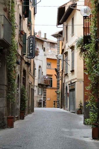 Viterbo Wall Decal