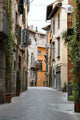 Viterbo Wall Decal