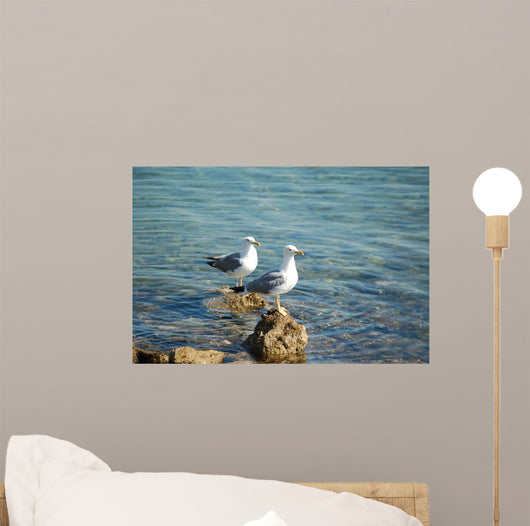 Seagulls Wall Mural