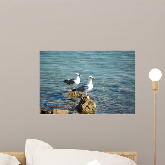 Seagulls Wall Mural