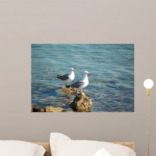 Seagulls Wall Mural