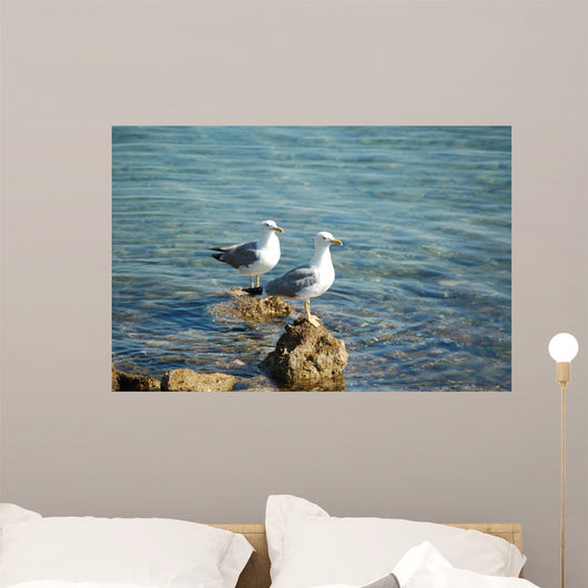 Seagulls Wall Mural