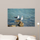Seagulls Wall Mural
