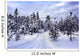 Snow Covered Tree Wall Mural