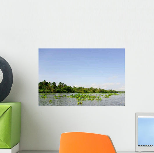 Orinoco Delta Wall Decal