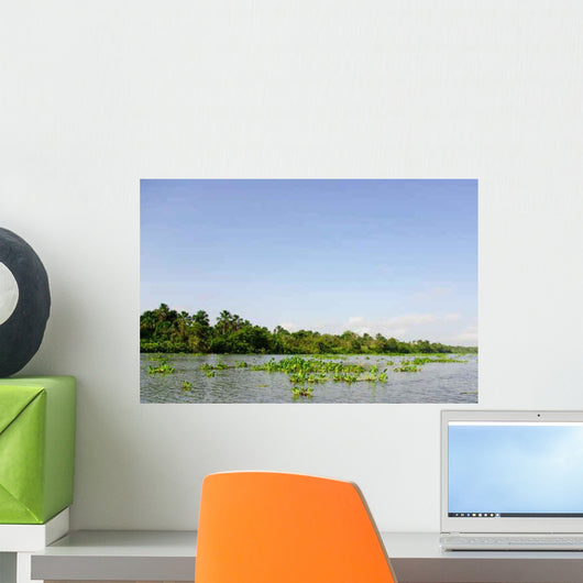 Orinoco Delta Wall Decal