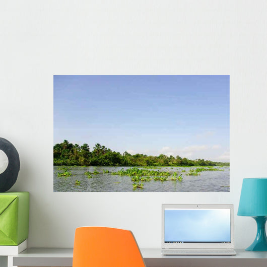 Orinoco Delta Wall Decal