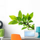 tree branch with green leaves isolated Wall Decal