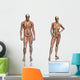 Anatomy Transparant Muscles with Wall Decal Sticker Set