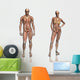 Anatomy Transparant Muscles with Wall Decal Sticker Set