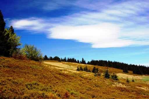 Somewhere Beskid Mountains Wall Decal