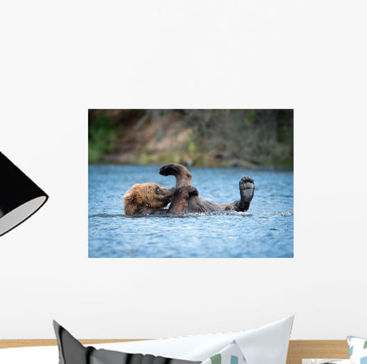 Alaskan Brown Bear Playing Wall Decal