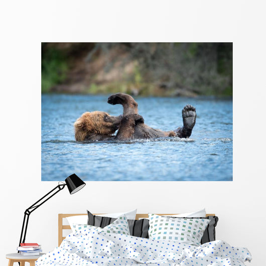 Alaskan Brown Bear Playing Wall Decal