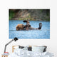 Alaskan Brown Bear Playing Wall Decal