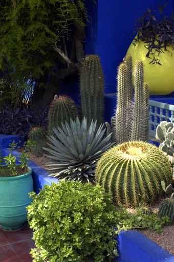 Exotic Garden Wall Decal