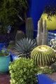 Exotic Garden Wall Decal