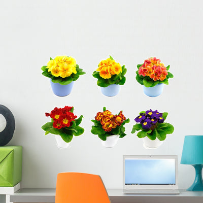 Potted Primrose Flowers Wall Stickers shown on a wall