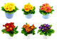 Potted Primrose Flowers Wall Stickers