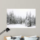Winterwald Im Nebel Wall Mural