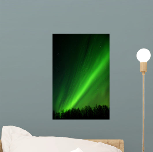 Very Detailed Aurora Wall Mural
