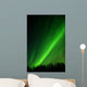 very detailed aurora Wall Mural