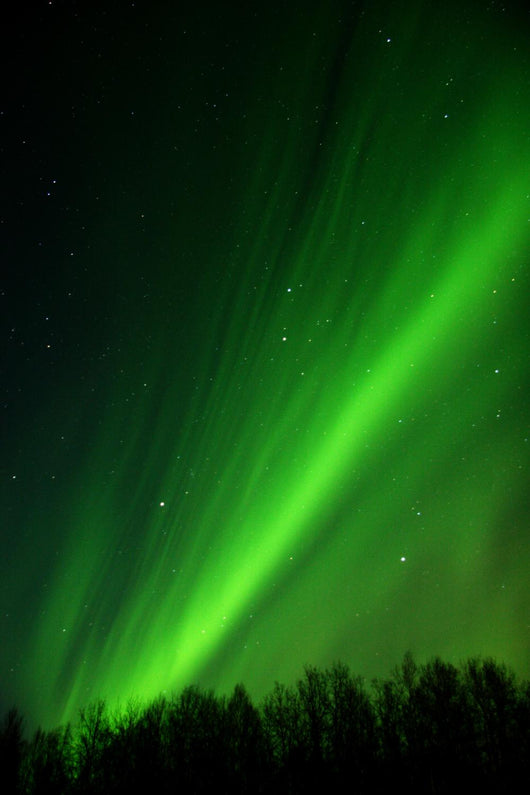 very detailed aurora Wall Mural