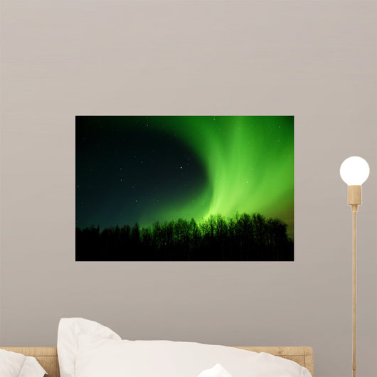 aurora rolling out from behind trees Wall Mural