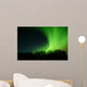 aurora rolling out from behind trees Wall Mural