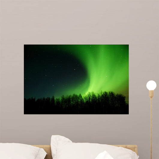 aurora rolling out from behind trees Wall Mural