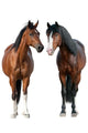 Two Horse Standing White Wall Decal Sticker Set