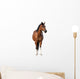 Standing Bay Horse Wall Decal