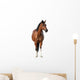 Standing Bay Horse Wall Decal