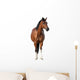 Standing Bay Horse Wall Decal
