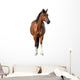 Standing Bay Horse Wall Decal