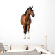 Standing Bay Horse Wall Decal