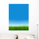 green grass over a clear blue sky without clouds as background Wall Mural