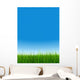 green grass over a clear blue sky without clouds as background Wall Mural