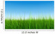 green grass over a clear blue sky without clouds as background Wall Mural