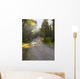 Rays Trail Wall Decal