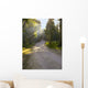 Rays Trail Wall Decal