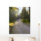 Rays Trail Wall Decal