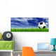 Black Soccer Ball Field Wall Mural